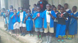 The Tea Project for Schools